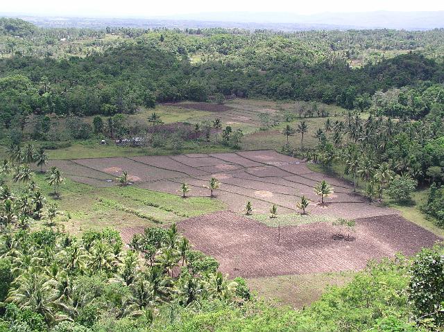 5.Tagesausflug, Chocolat Hills 416.JPG